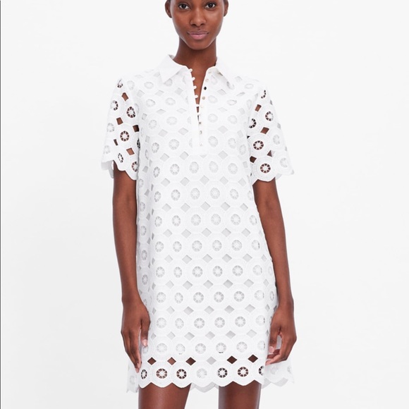 zara white lace dress